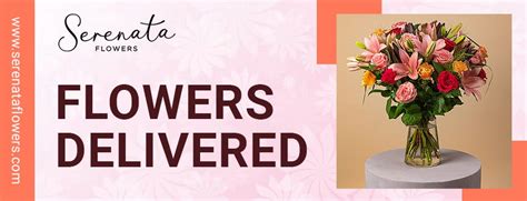 Flower Delivery in Elizabethton, TN: Blooms at Your Doorstep.
